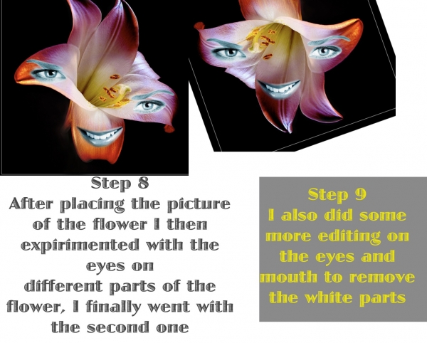 Creation of FLOWAH: Step 5